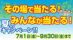 夏のキャンペーンが始まる！