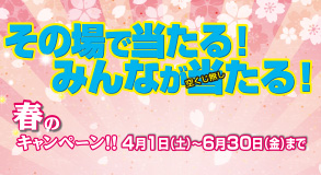 春のキャンペーン