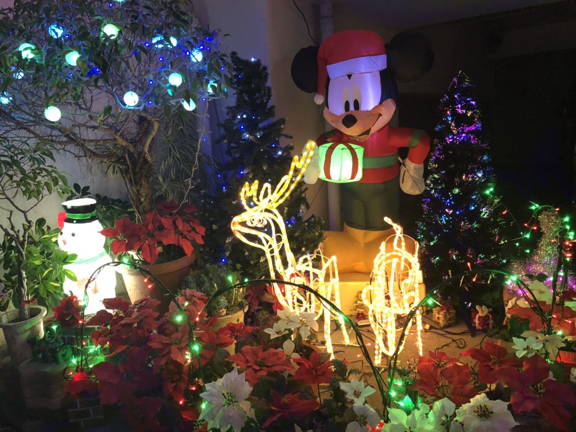 今日はクリスマス 綺麗なイルミネーション 沖縄のカーコーティング カーフィルム キズヘコミはザップス 沖縄 カーケアショップザップス