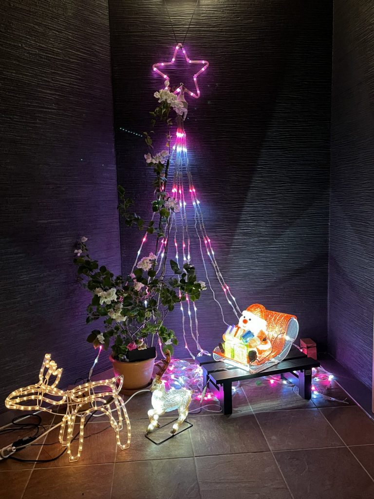 クリスマス | 沖縄 カーケアショップザップス