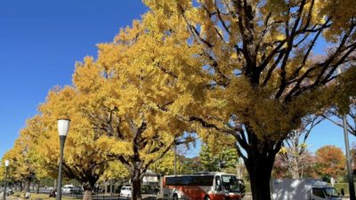東京へ行ってきました